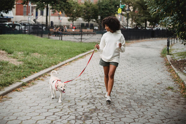 Person walking dog in park with dog.